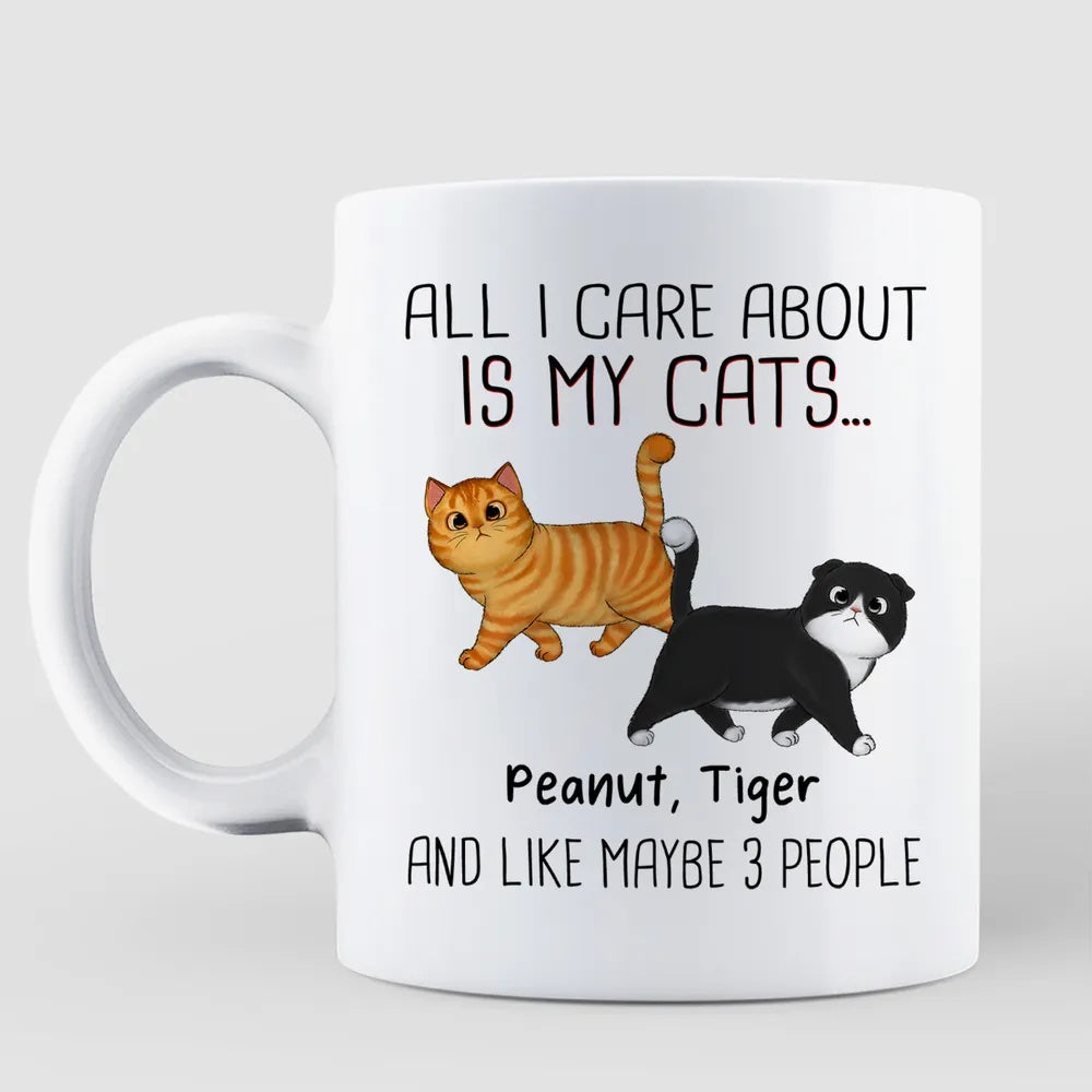 Walking Fluffy Cats Gift For Cat Lovers Personalized Mug