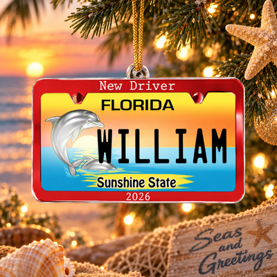 Personalized New Driver Car Ornament, Custom State License Plate Design, Keepsake Gift For Teen First Time Driver