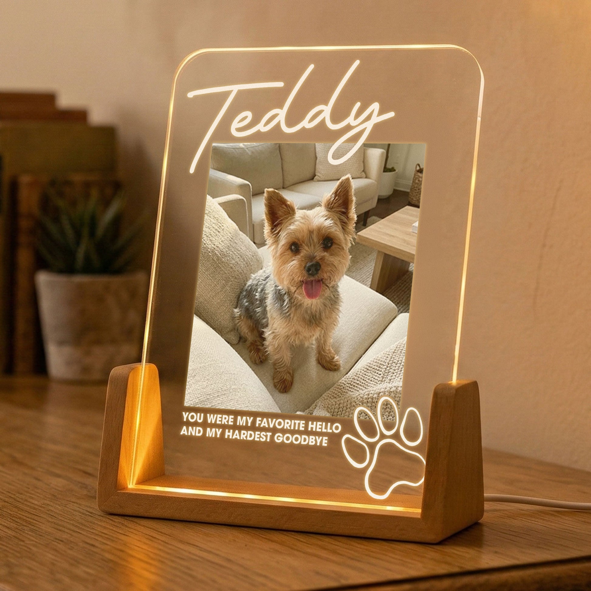 Memorial Pet My Favorite Hello & Hardest Goodbye - Personalized Night Light