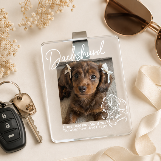 Personalized Pet Name Memorial Car Visor Clip Photo Frame Pet Loss Gift